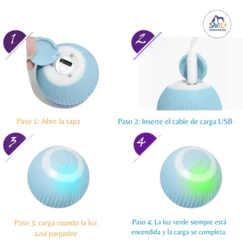 ¡MotionBall™: Movimiento y diversión sin límites! 🚀🐾