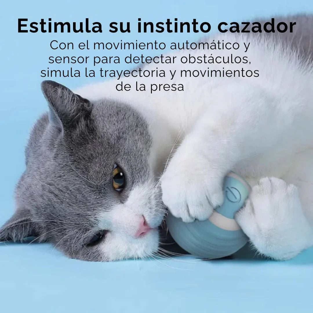 ¡MotionBall™: Movimiento y diversión sin límites! 🚀🐾
