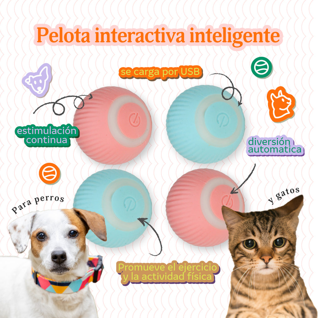 ¡MotionBall™: Movimiento y diversión sin límites! 🚀🐾