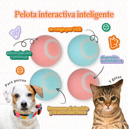 ¡MotionBall™: Movimiento y diversión sin límites! 🚀🐾