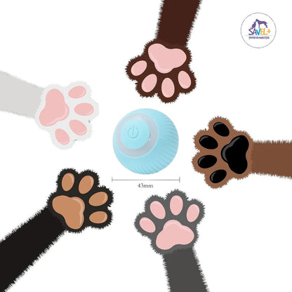 ¡MotionBall™: Movimiento y diversión sin límites! 🚀🐾